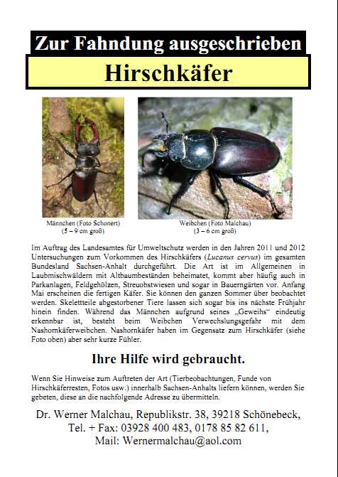 Fahndung Hirschkäfer