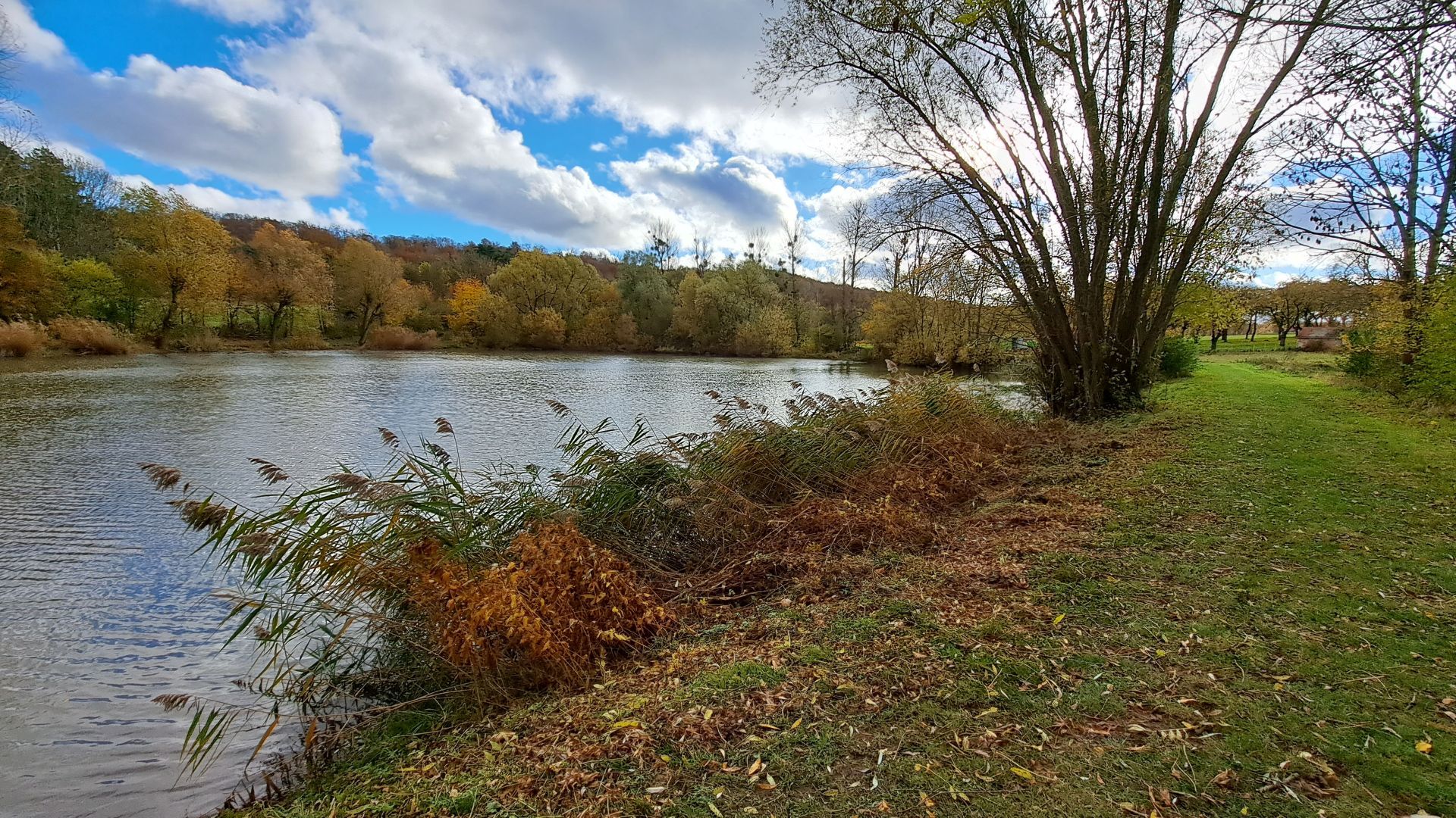 Teiche bei Gößnitz