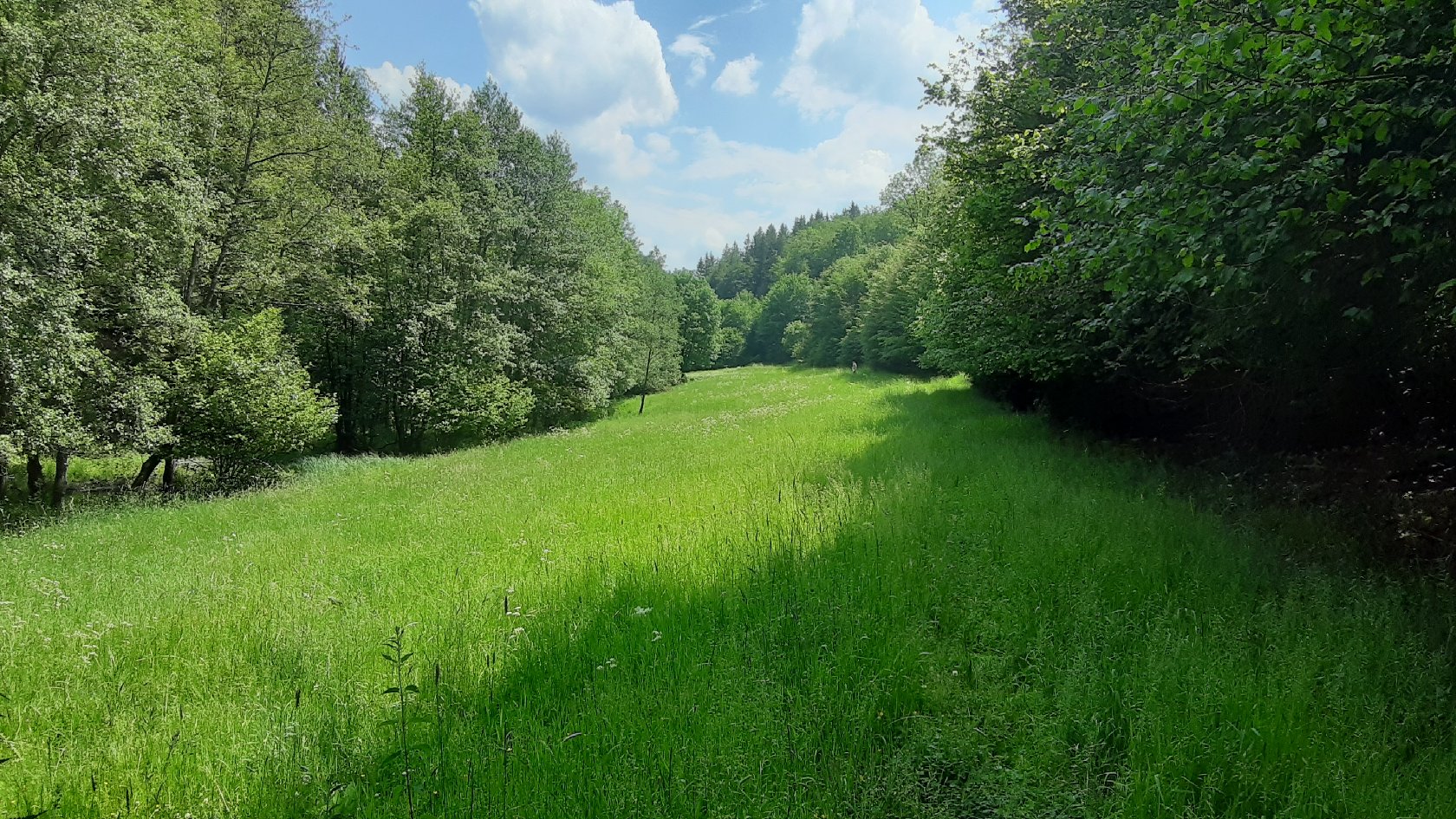 Krummschlachttal
