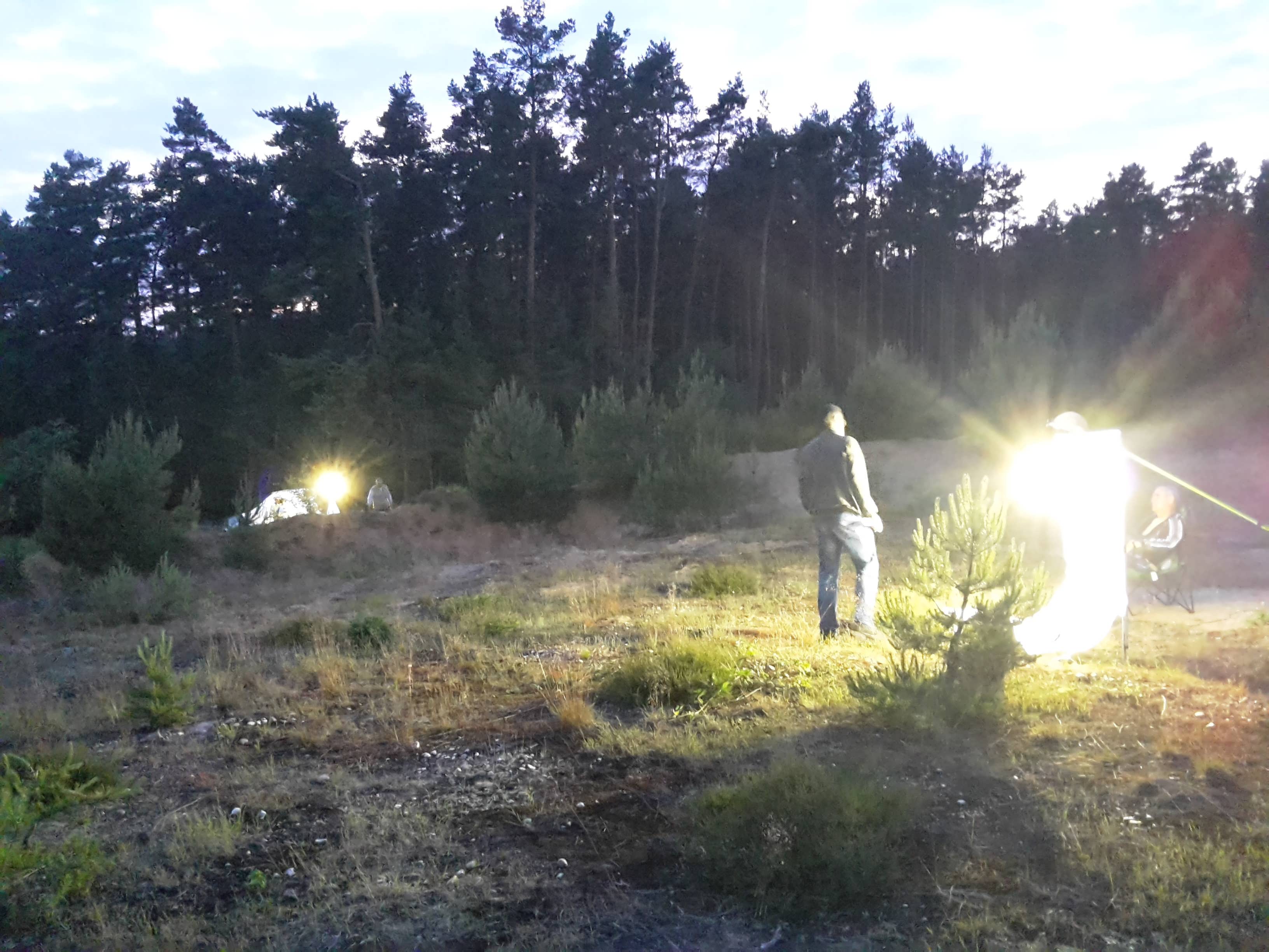 Lichtfang Dübener Heide